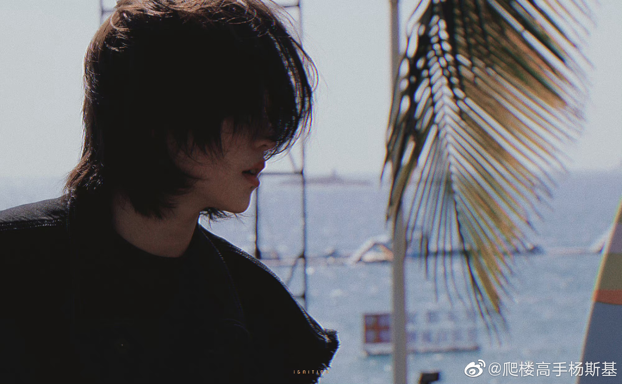 陆柯燃这组饭拍图氛围感太强了有帅到我