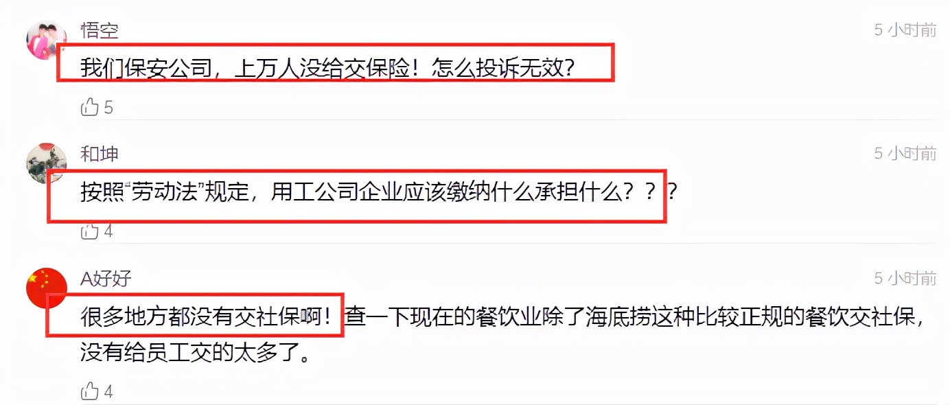 网红雪梨封号后再被曝新料，三方公开回应，社保问题引发集体热议休闲区蓝鸢梦想 - Www.slyday.coM
