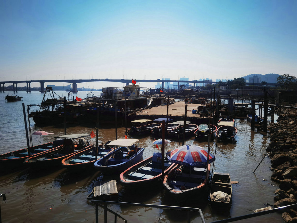 广州唯一国家级渔港充满原始渔家风情宝藏级的免费拍照地