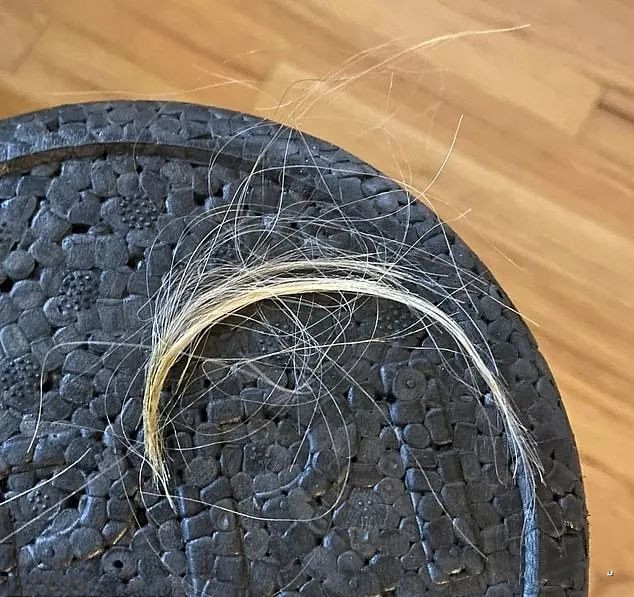 女子起床后发现刘海没了,瞄了一眼客厅:原来是你这只小可爱干的休闲区蓝鸢梦想 - Www.slyday.coM 女子起床后发现刘海没了,瞄了一眼客厅:原来是你这只小可爱干的休闲区蓝鸢梦想 - Www.slyday.coM