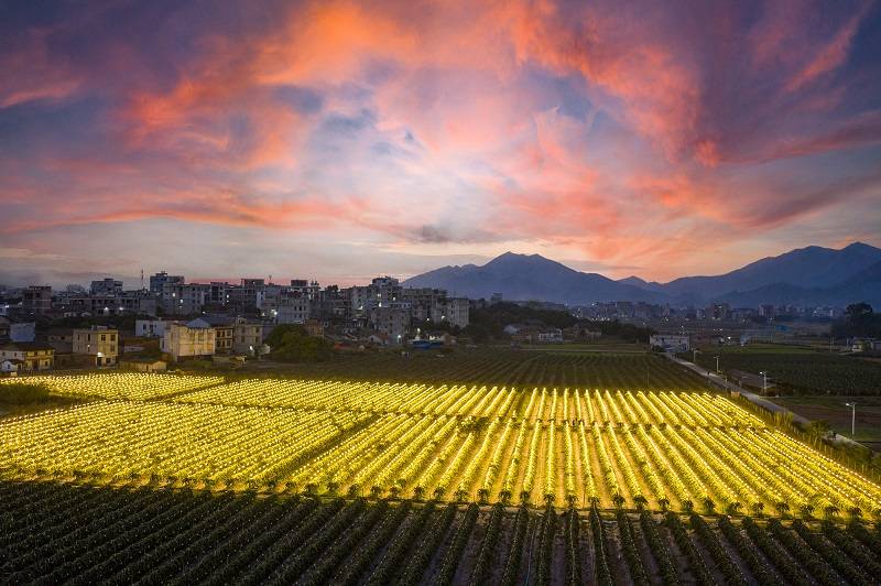 岑溪seo优化机构