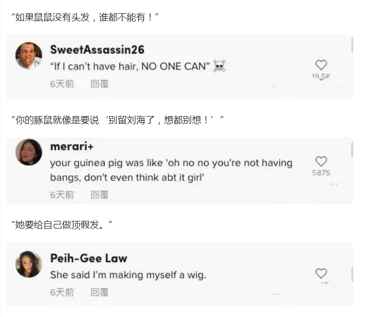 女子起床后发现刘海没了,瞄了一眼客厅:原来是你这只小可爱干的休闲区蓝鸢梦想 - Www.slyday.coM 女子起床后发现刘海没了,瞄了一眼客厅:原来是你这只小可爱干的休闲区蓝鸢梦想 - Www.slyday.coM