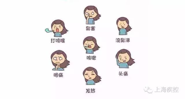 提示普通感冒流感名字都带感为什么不是同一个病来看解释