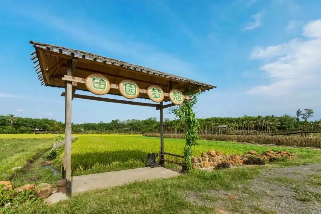 沿中国最美公路嗨玩海南共享农庄过向往的生活