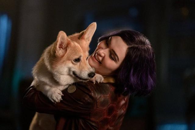 netflix《星际牛仔》刚上线一个月就被砍