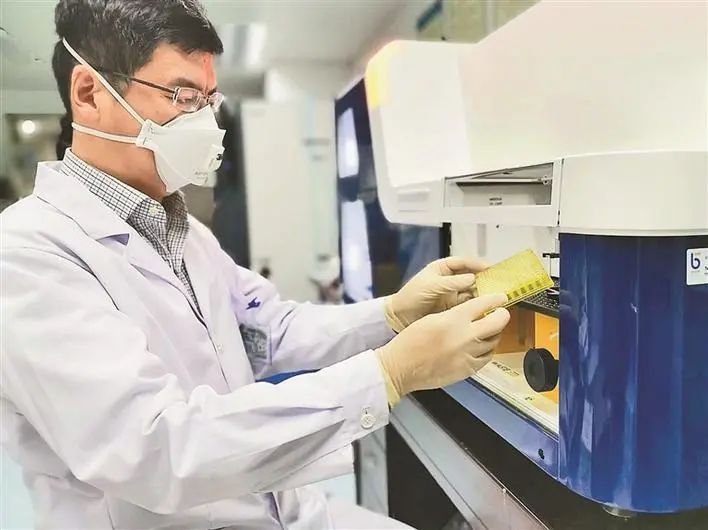 深圳市第三人民医院肝病研究所所长张政在实验室进行研发。受访单位供图