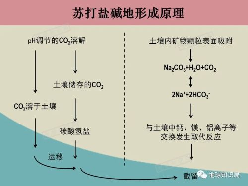 而盐碱地中超过正常土壤耕作水平的含盐量