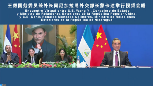中尼两国外长视频会晤(图源:外交部官网)