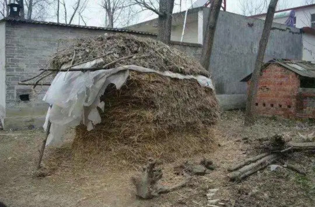 千万粉丝网红张同学被点名，网友却吵起来了休闲区蓝鸢梦想 - Www.slyday.coM