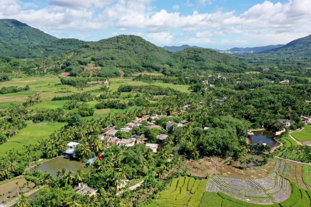 最美海南外景地景库上线本期推介保亭