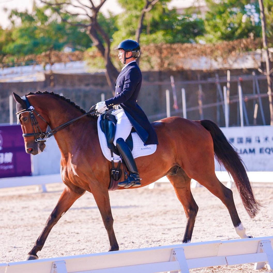 中国马术盛装舞步冠军杯赛在深圳开幕