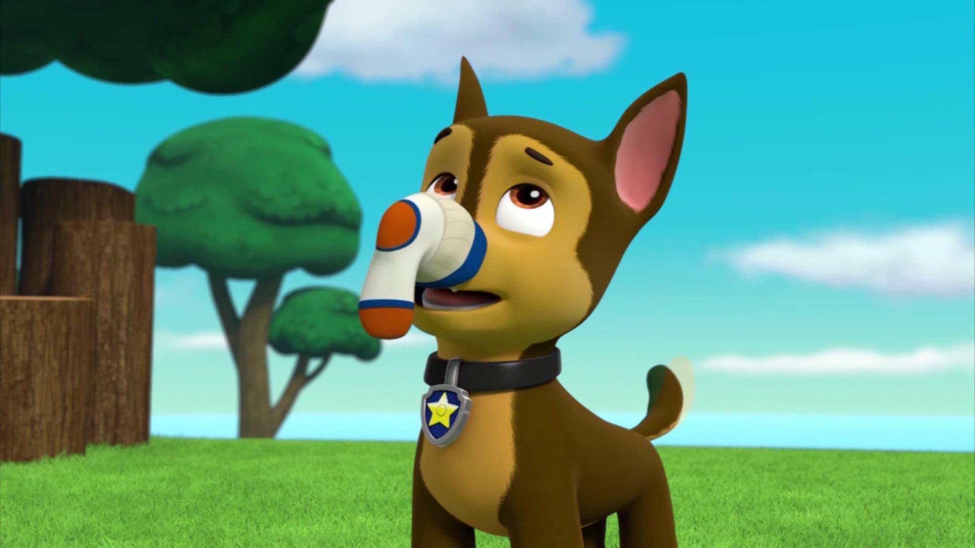 汪汪队:天天是真不嫌弃莱德啊,还用嘴叼臭袜子,看着都好臭