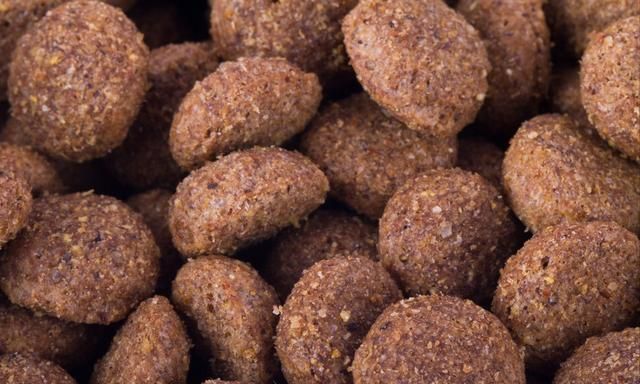 无论多生气，都不可以动手打狗，不然会造成这几种后果休闲区蓝鸢梦想 - Www.slyday.coM