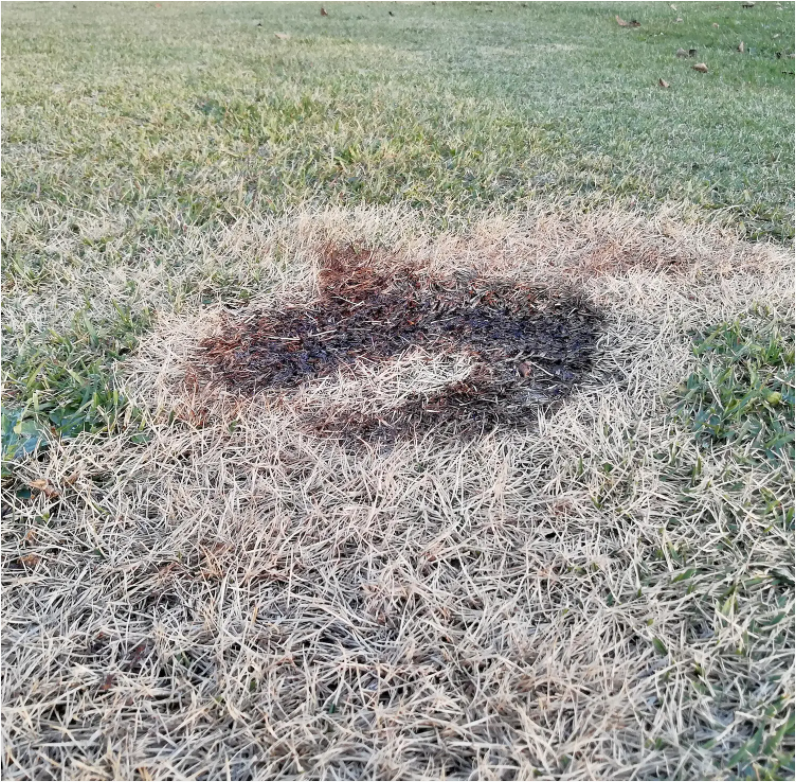 露营时,只有篝火架是不够的!大家一定要知道“防火布”的重要性休闲区蓝鸢梦想 - Www.slyday.coM 露营时,只有篝火架是不够的!大家一定要知道“防火布”的重要性休闲区蓝鸢梦想 - Www.slyday.coM