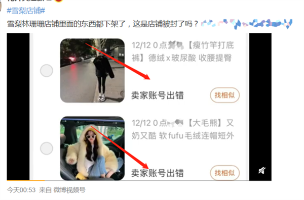 逃税被罚近1亿！网红雪梨/林珊珊店铺疑被封、全网封杀休闲区蓝鸢梦想 - Www.slyday.coM