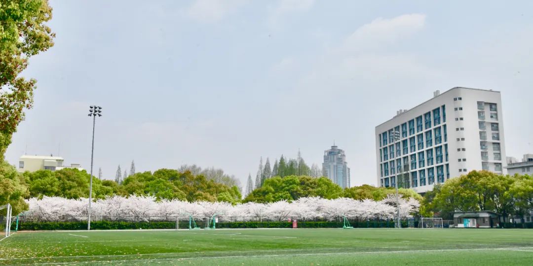 重要发现！同济团队为脊髓损伤治疗带来新希望