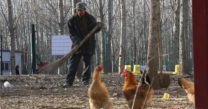 农民变主播、手机成农具 郓城县电商赋能乡村振兴