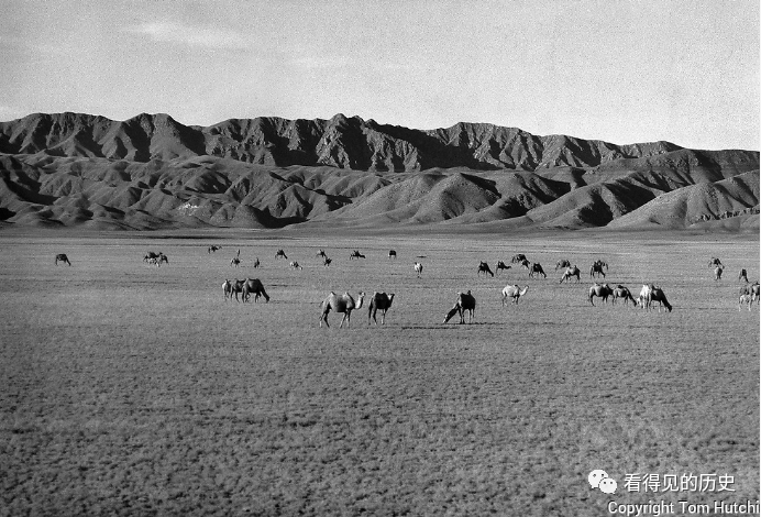 珍貴老照片 1956年的新疆 壯美的天山|新疆_新浪新聞