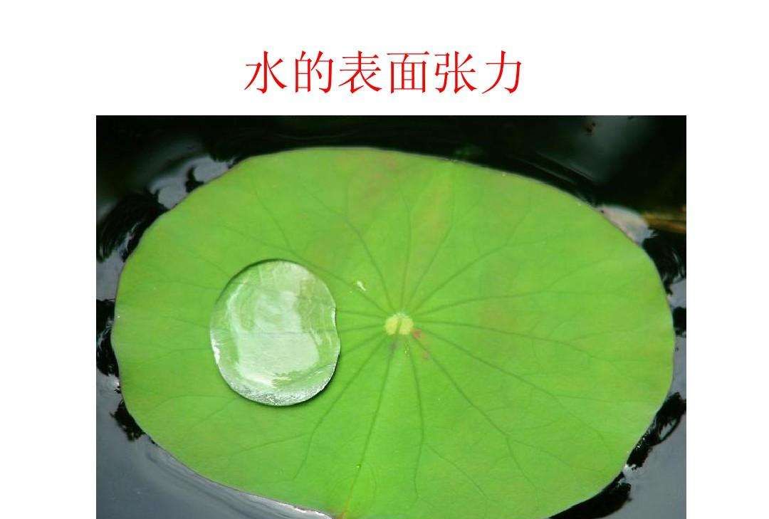 神州十三号太空课堂知识解读系列水膜张力实验