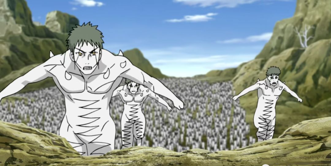 忍界大战之后,剩下的白绝都去哪了?