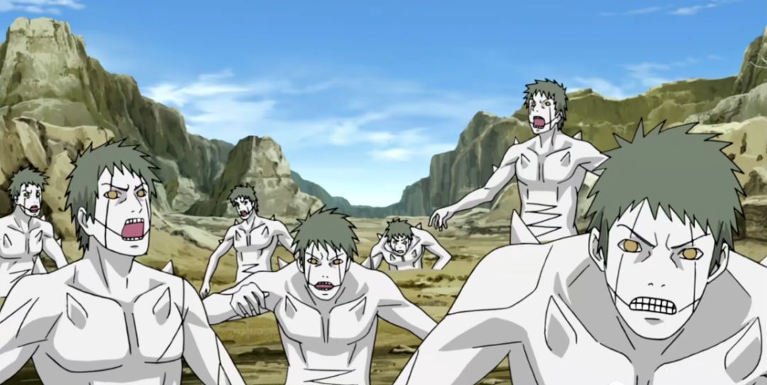 忍界大战之后,剩下的白绝都去哪了?