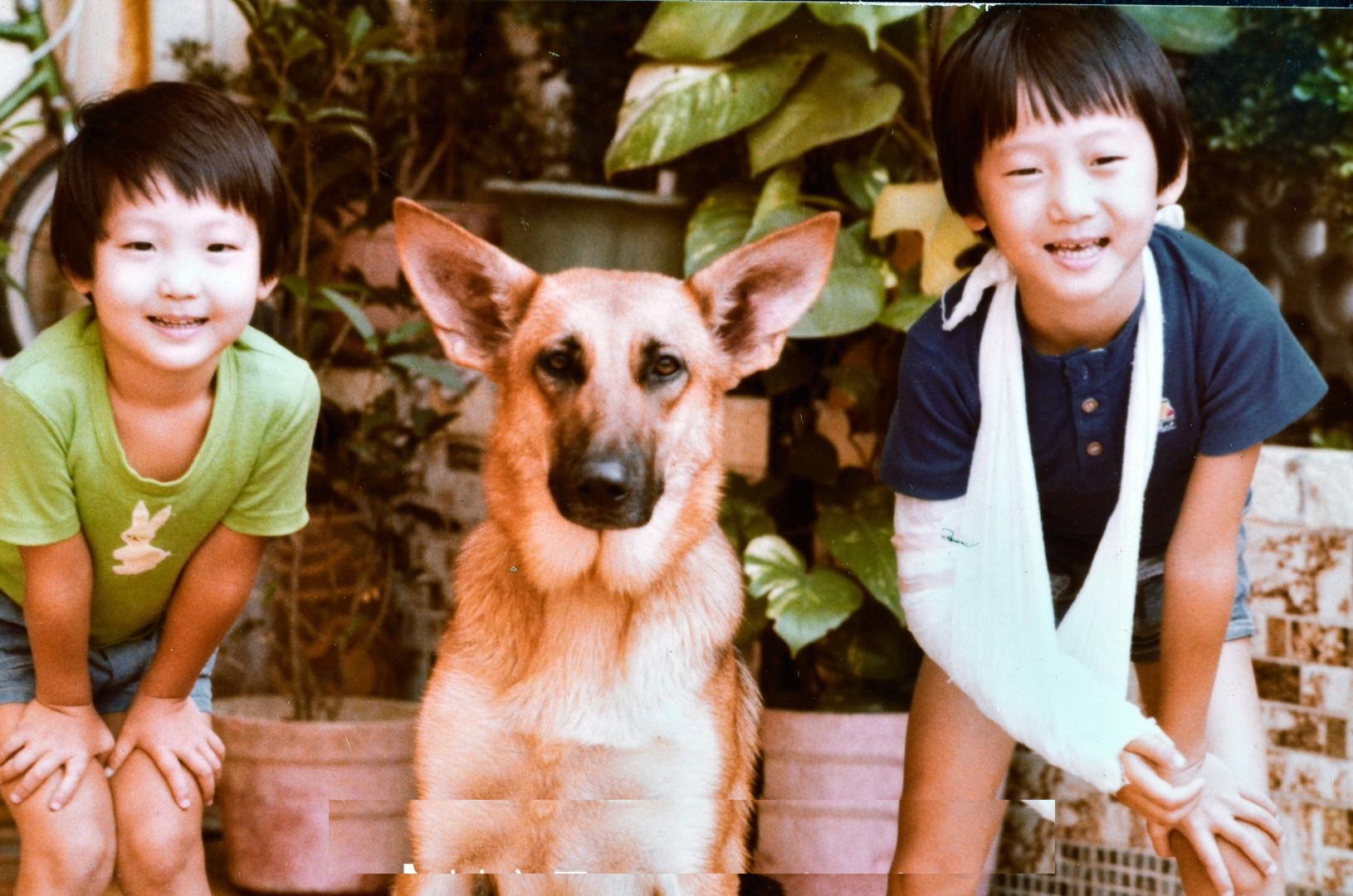 洪天明晒父亲洪金宝年轻时的旧照片被提到范丞丞他选择忽视