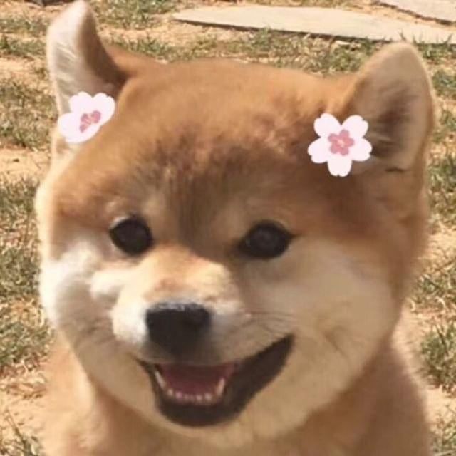 又可以换新的情头啦