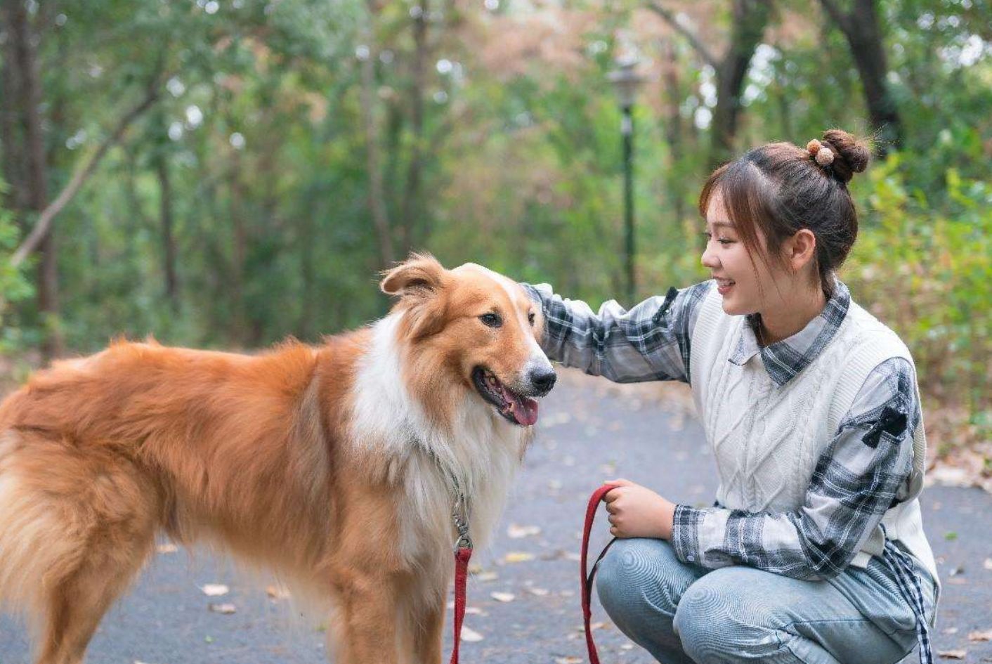 养狗|年轻人|宠物狗_新浪新闻