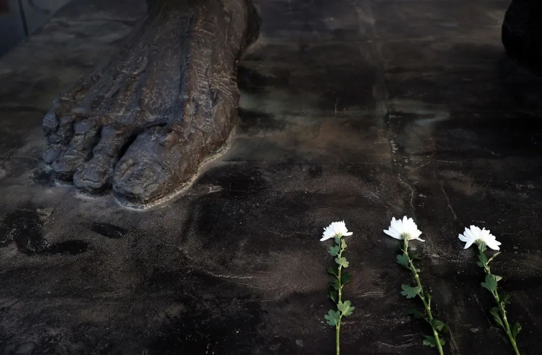 今天，以国家之名祭奠同胞！休闲区蓝鸢梦想 - Www.slyday.coM