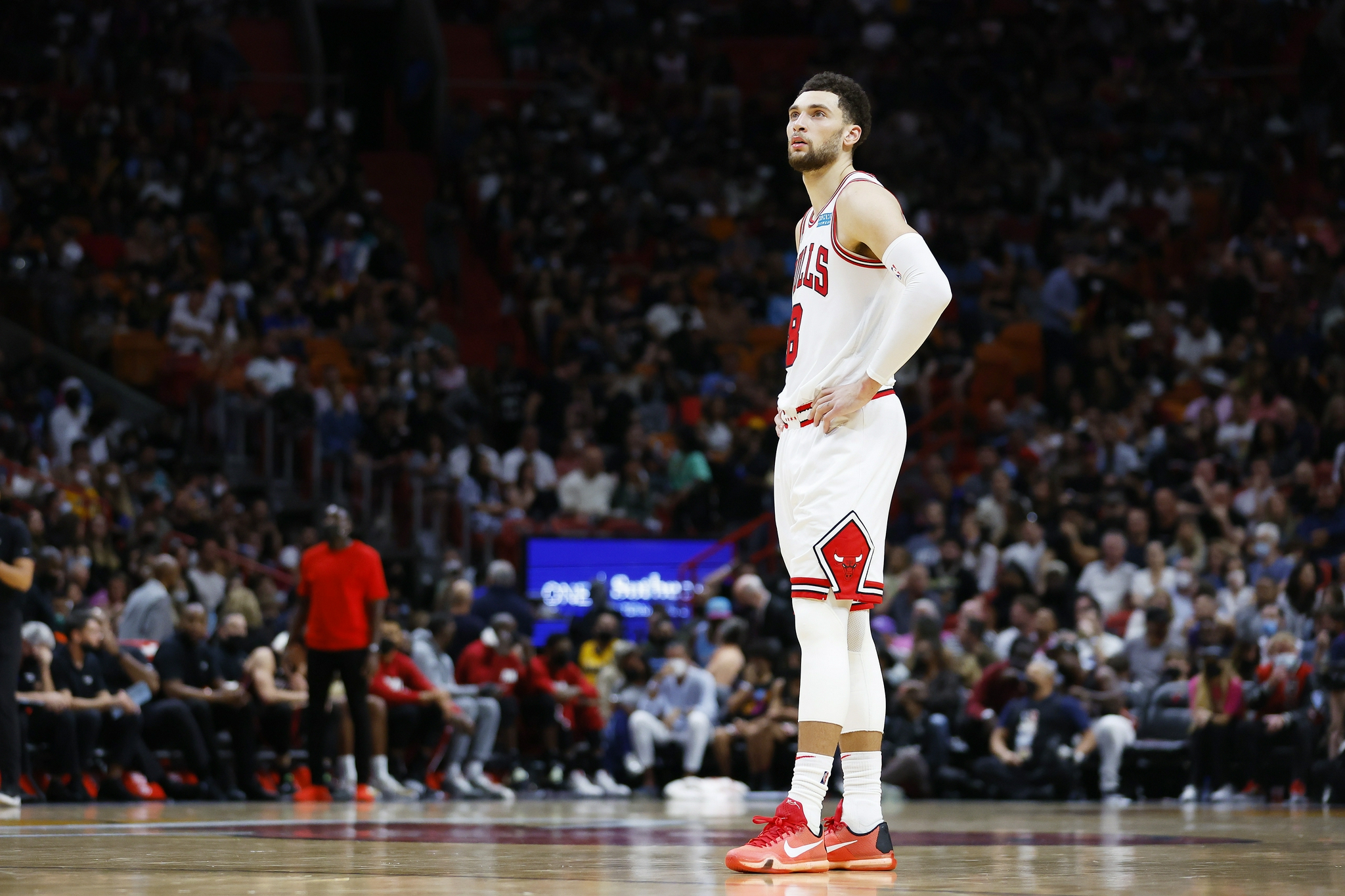 nba扣篮王拉文.