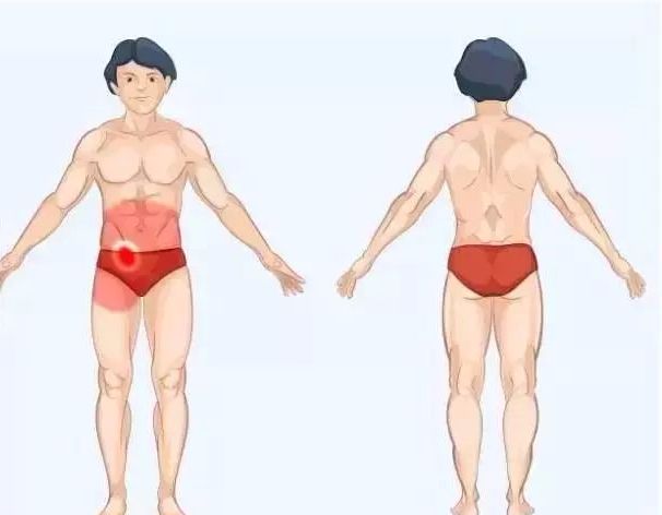 身体疼痛对照表(精华版)|肾脏_新浪新闻