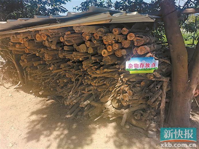 大喇叭一响 百日攻坚战铺开休闲区蓝鸢梦想 - Www.slyday.coM