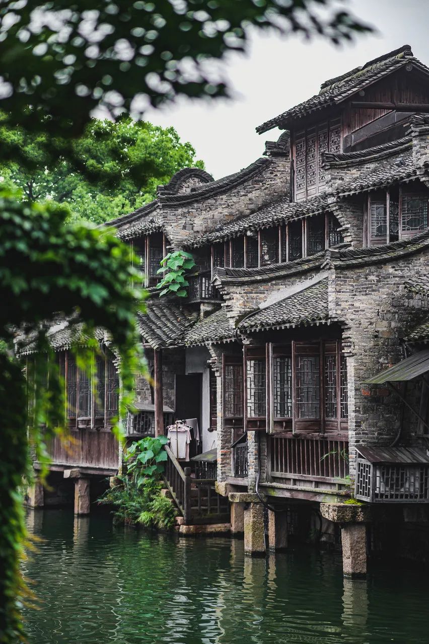 江南小城温州美到惊艳 安逸到不想离开