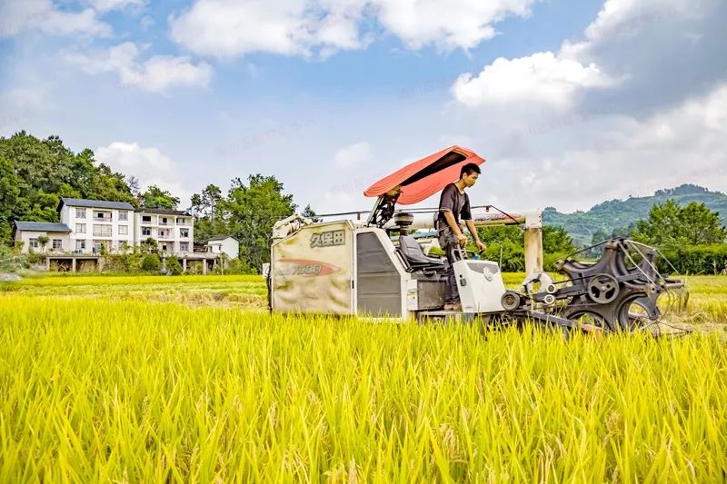全国首批农业现代化示范区重庆这3地入围