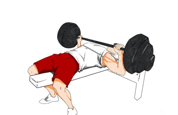 卧推的种类繁多但均源自平板卧推怎样把握卧推中的要领