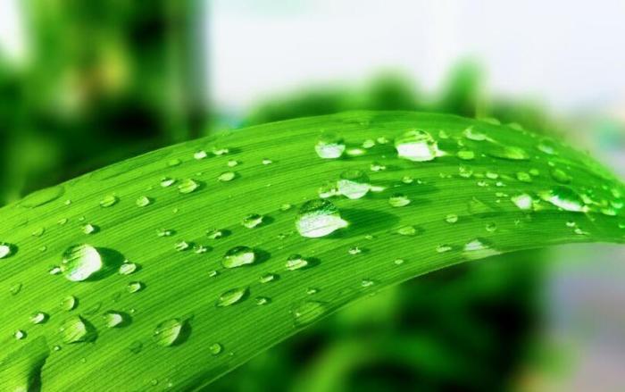 12月下旬八方来财3属相好事成堆工作如鱼得水福禄双收