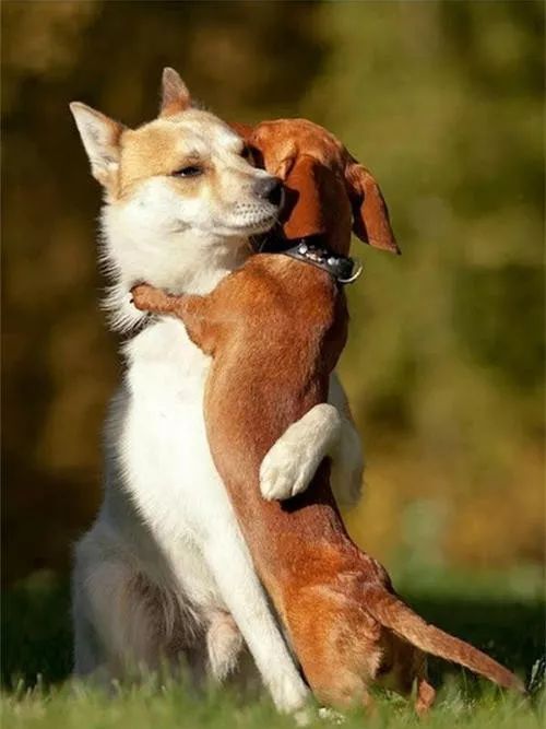 多想在寒冷的日子里拥抱你