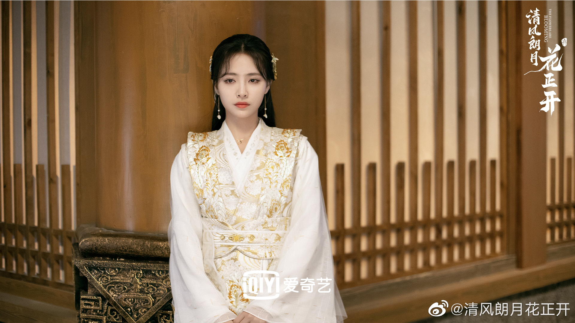 许佳琪清风朗月花正开剧照百变古装美人许佳琪