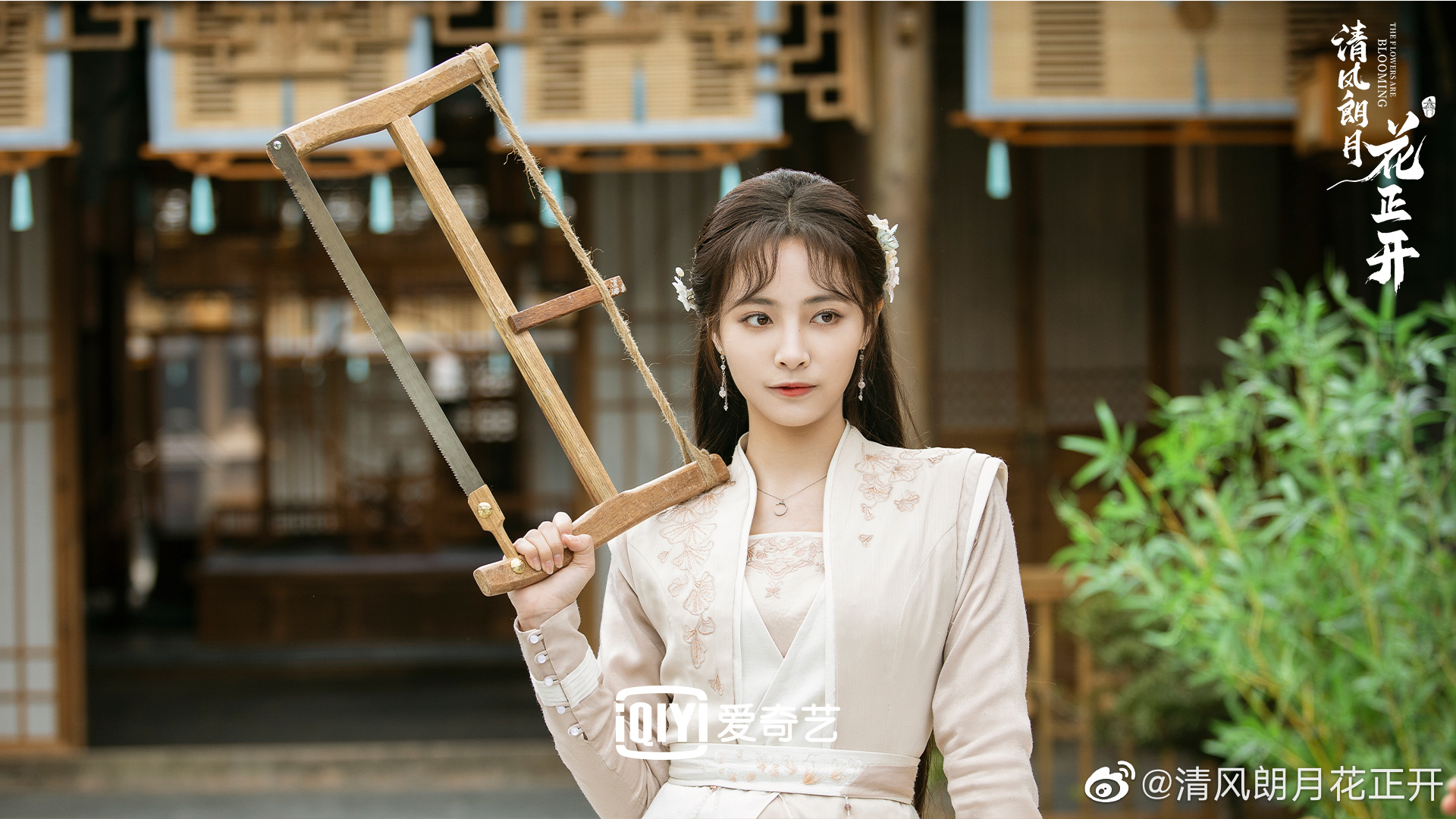 许佳琪清风朗月花正开剧照百变古装美人许佳琪