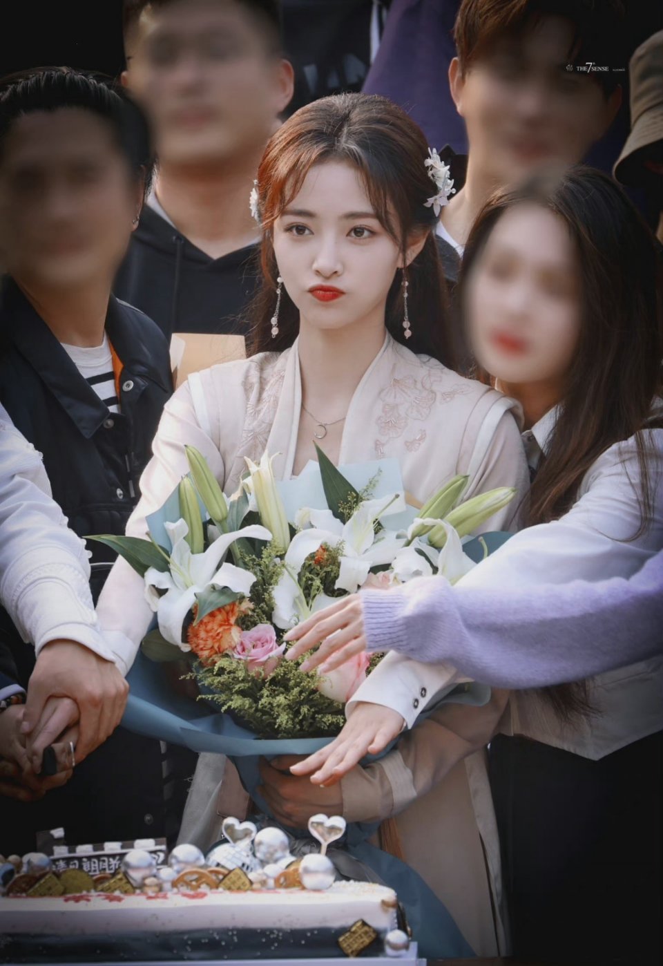 许佳琪主演电视剧清风朗月花正开定档1219