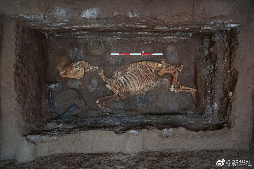 重大发现！真正的汉文帝陵找到了休闲区蓝鸢梦想 - Www.slyday.coM