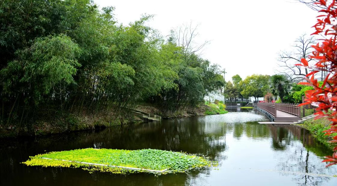 牛塘镇谱写水美乡村新篇章