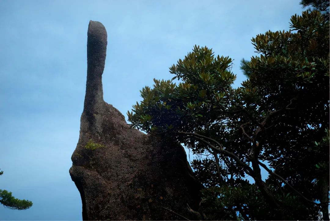 仙人指路指向3700点,跨年度行情也许正在展开了