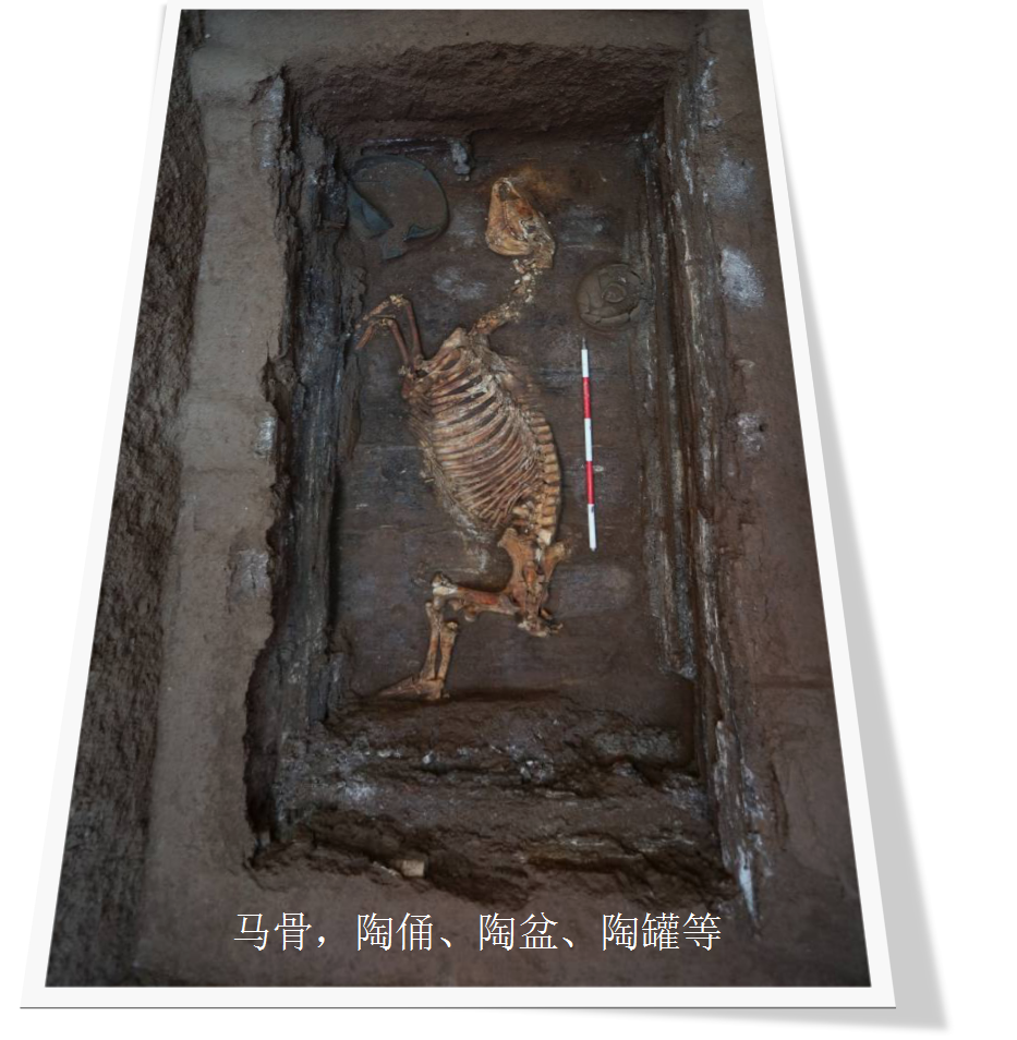 西安江村大墓确认为汉文帝霸陵洛阳也确定一处太平公主宅院