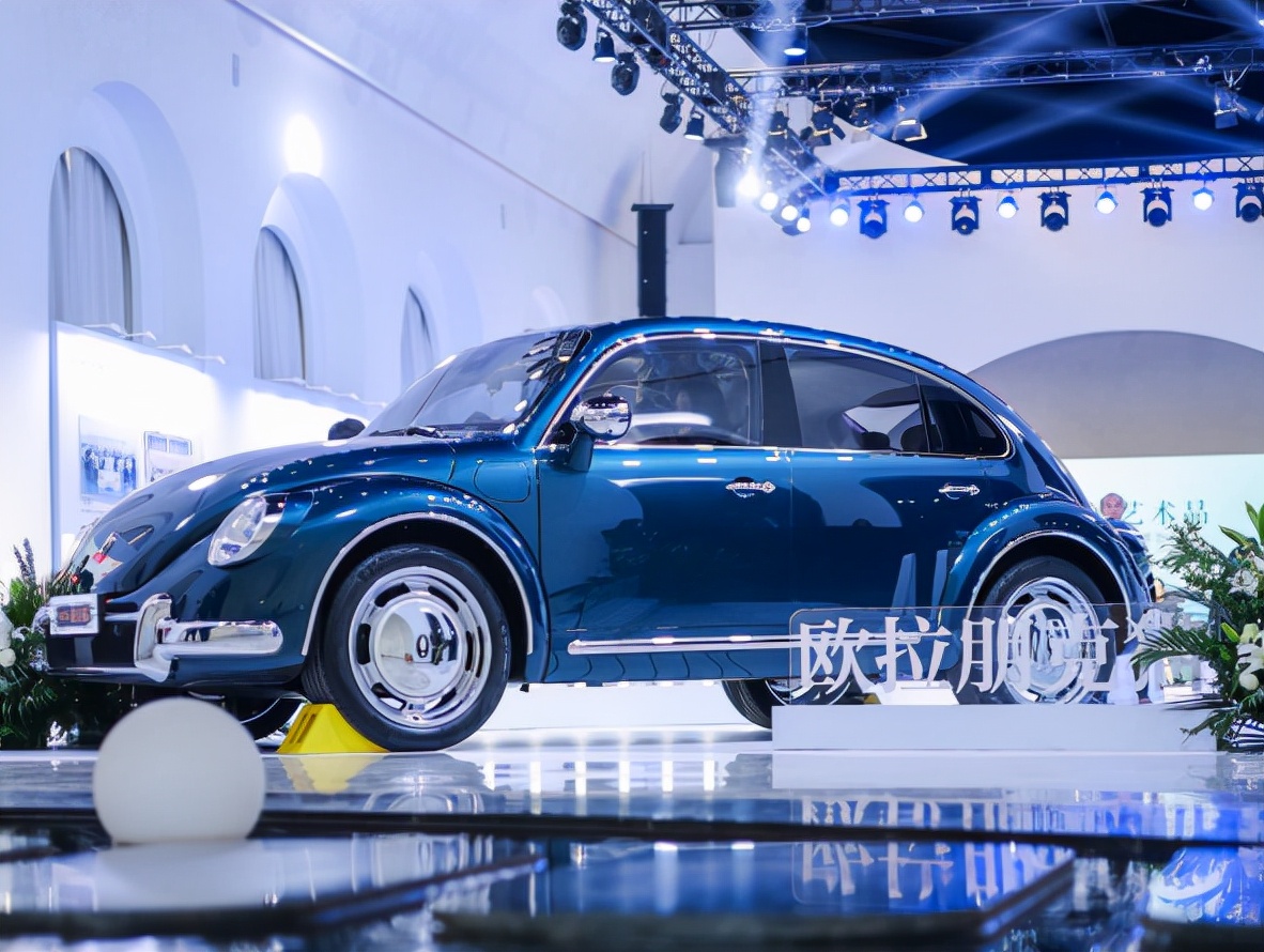 男友般精密呵护 欧拉朋克猫"大女主"时代新产物|朋克|猫|男友_新浪