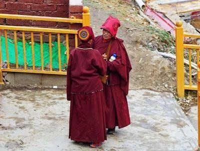 四川一奇特学校,为佛学院中的“清华”,满山红艳为上千僧舍休闲区蓝鸢梦想 - Www.slyday.coM 四川一奇特学校,为佛学院中的“清华”,满山红艳为上千僧舍休闲区蓝鸢梦想 - Www.slyday.coM