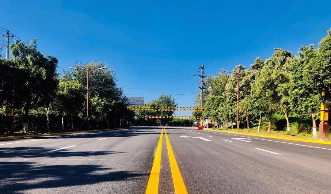 泾阳县城的这些变化,你看到了吗?|泾阳|县城|行道树_新浪新闻