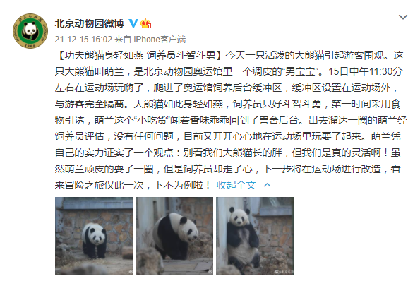 Screenshot of Beijing Zoo's official Weibo