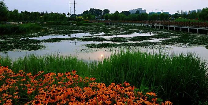 满城区有个三星级公园,你去过了吗?|复兴公园|城区|公园_新浪新闻