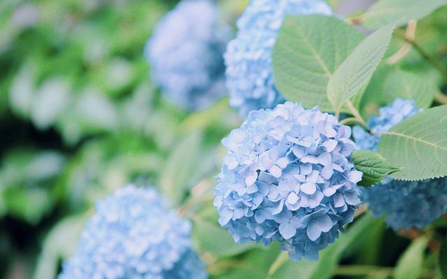 凤凰男以女友怀孕为借口压低彩礼，女方如此反击，结局让人舒服休闲区蓝鸢梦想 - Www.slyday.coM